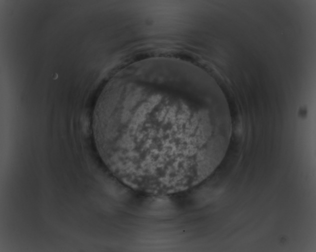 X0000091550715200708311354