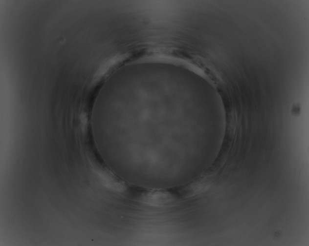 X0000091550716200708311354