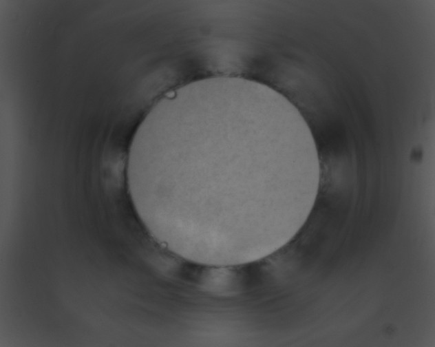 X0000091550717200708311354
