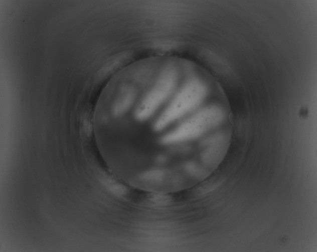 X0000091550719200708311354