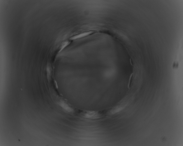 X0000091550720200708311354