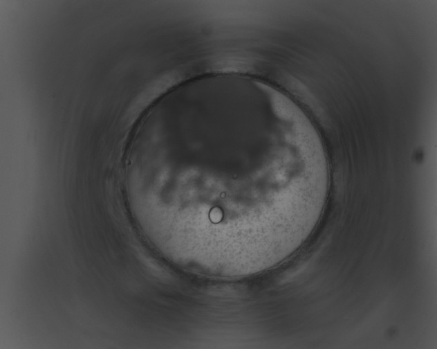 X0000091550721200708311353