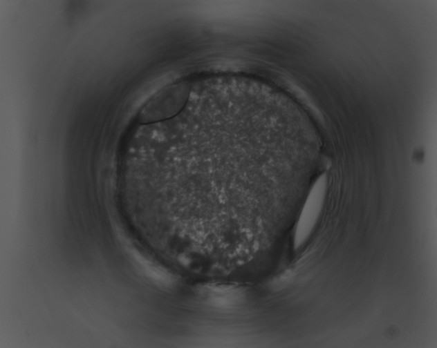 X0000091550722200708311353