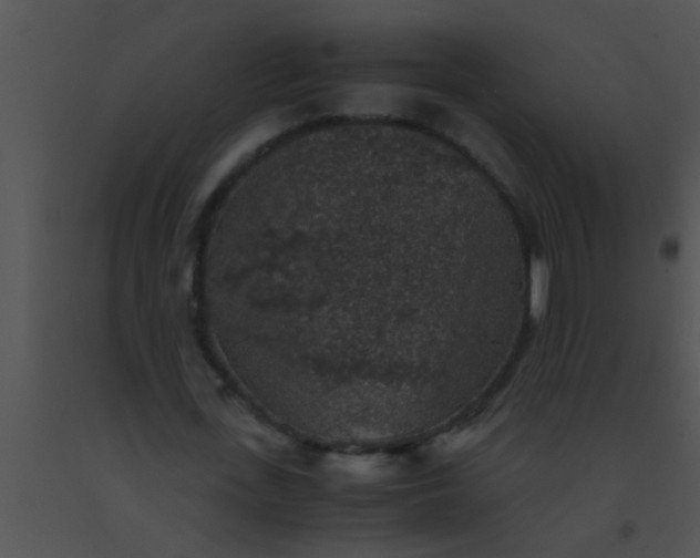 X0000091550723200708311353