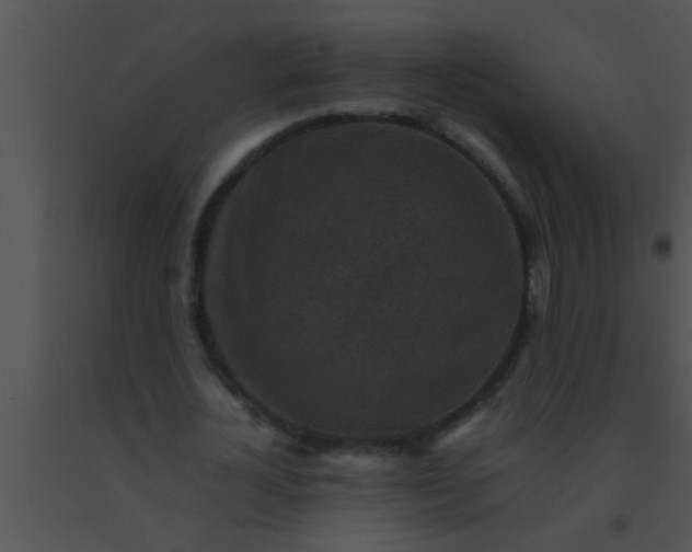 X0000091550724200708311353