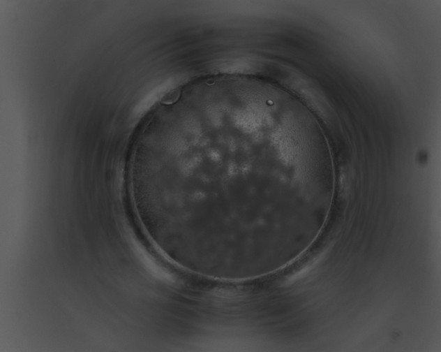 X0000091550725200708311353