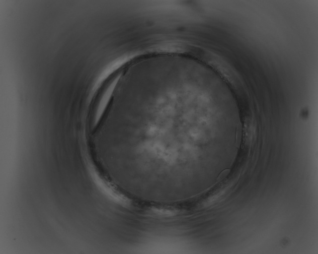 X0000091550726200708311353