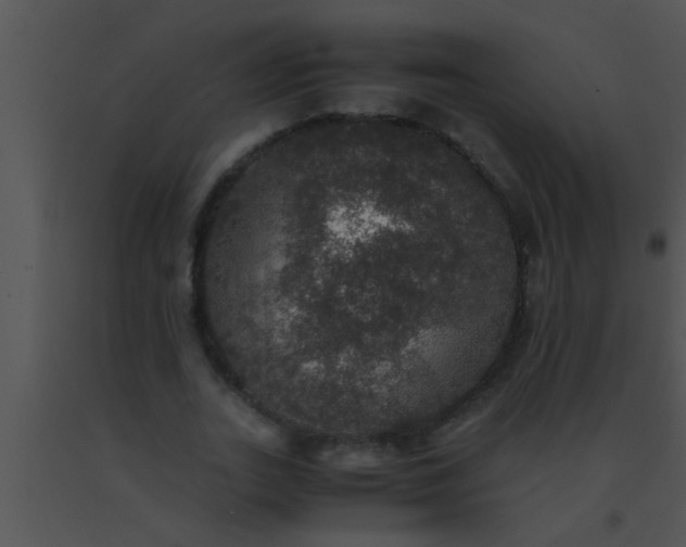 X0000091550727200708311354