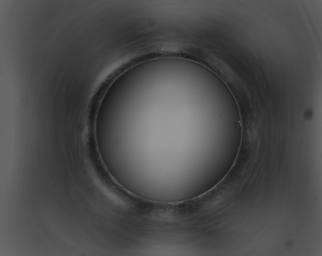 X0000091550728200708311354