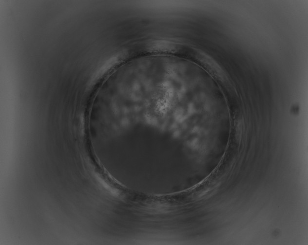 X0000091550729200708311354