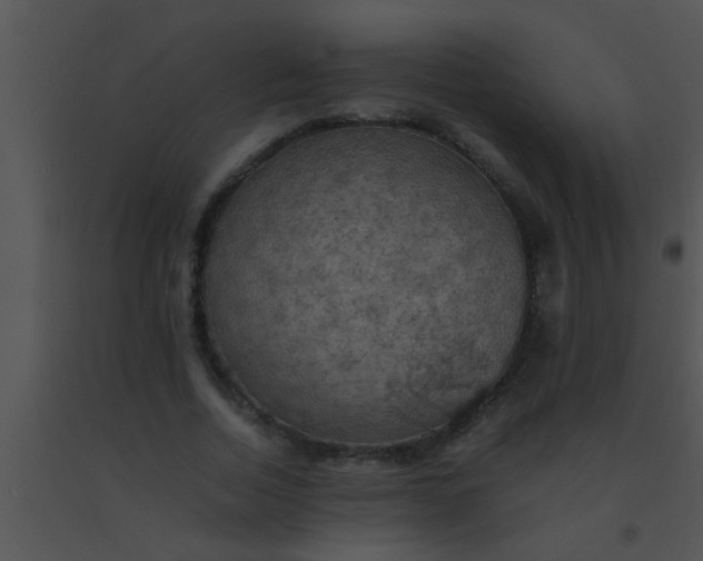 X0000091550730200708311354
