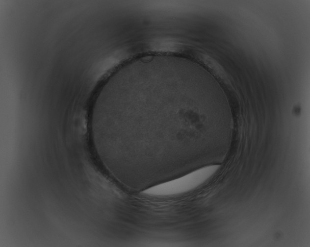 X0000091550731200708311354