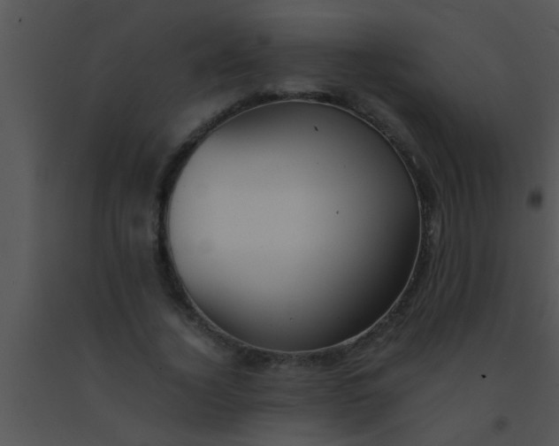 X0000091550732200708311354