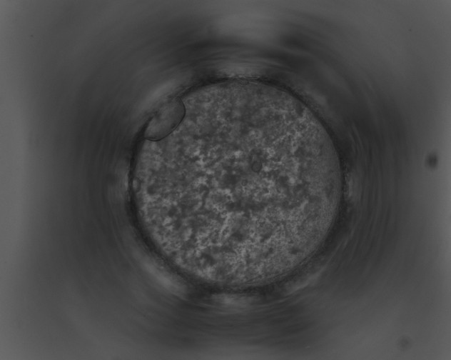 X0000091550733200708311354