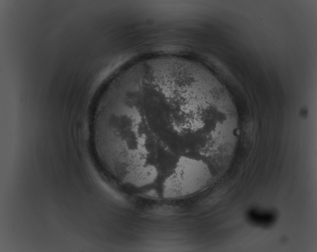 X0000091550734200708311354