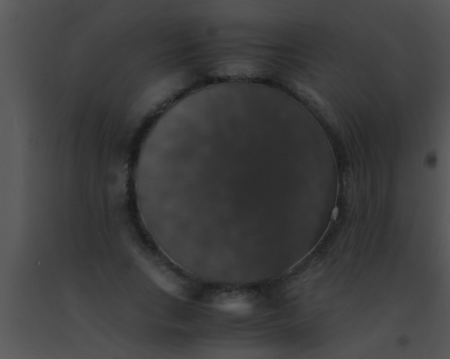 X0000091550735200708311354