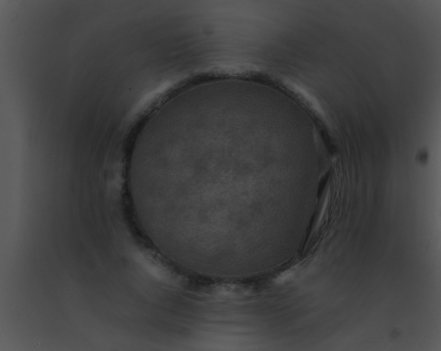 X0000091550736200708311354