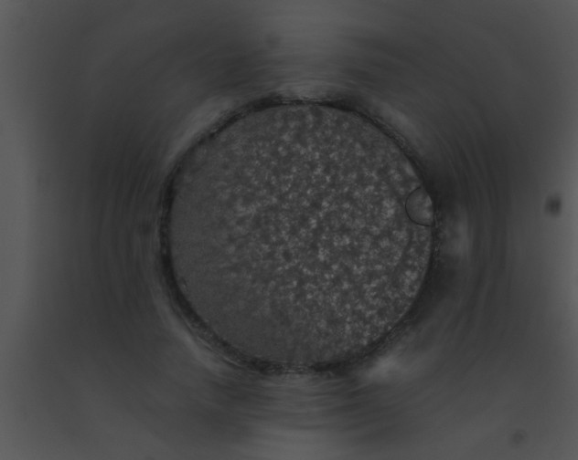X0000091550738200708311354
