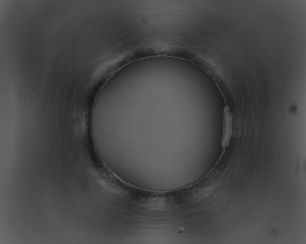 X0000091550740200708311354
