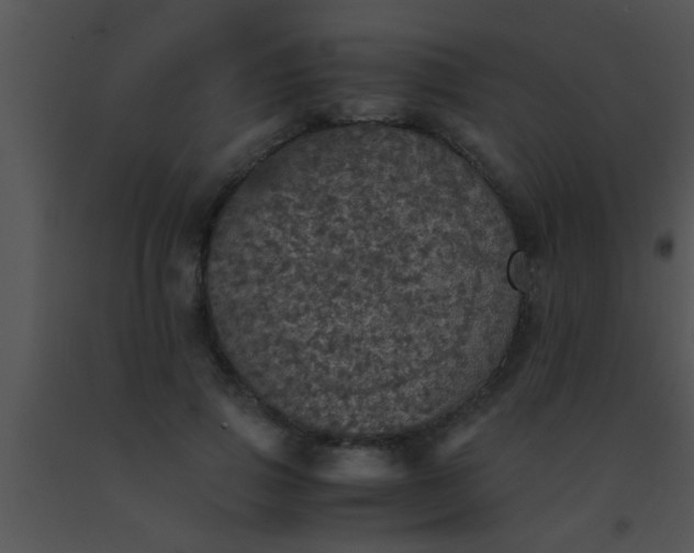 X0000091550741200708311354