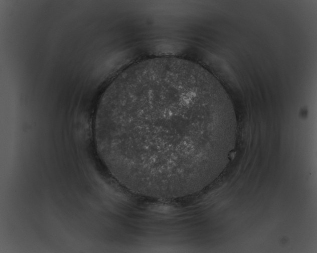 X0000091550743200708311354