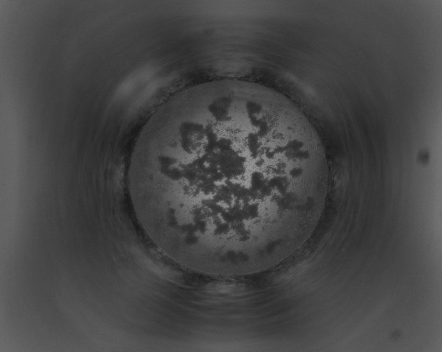 X0000091550745200708311354