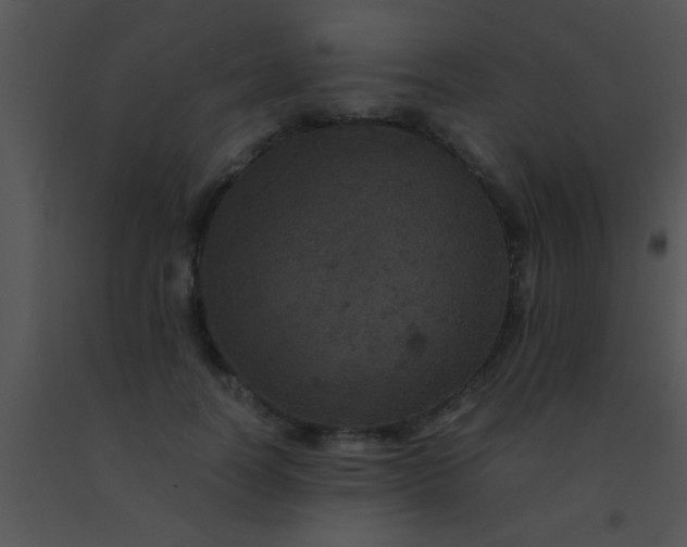 X0000091550746200708311354