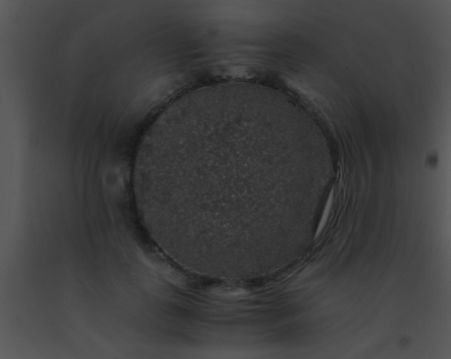 X0000091550747200708311354