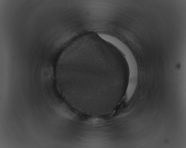 X0000091550748200708311354