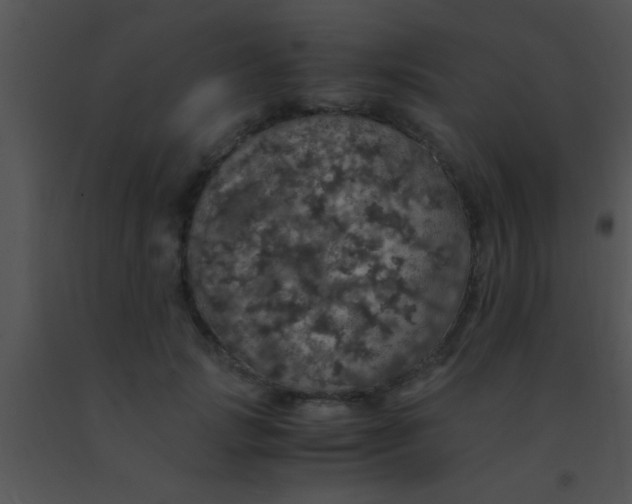 X0000091550749200708311354