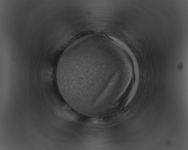 X0000091550750200708311354