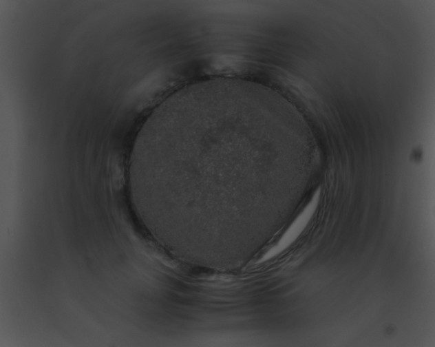 X0000091550751200708311354