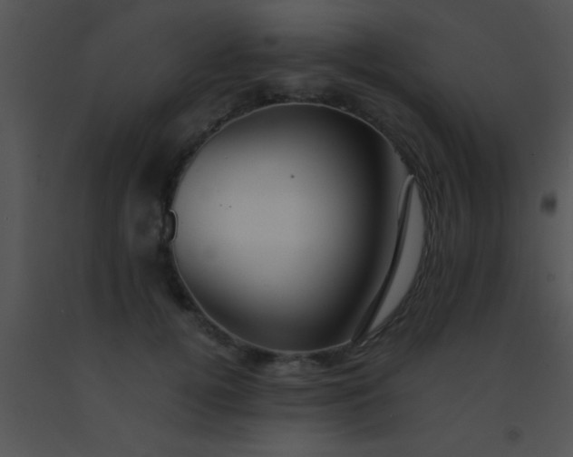 X0000091550752200708311354