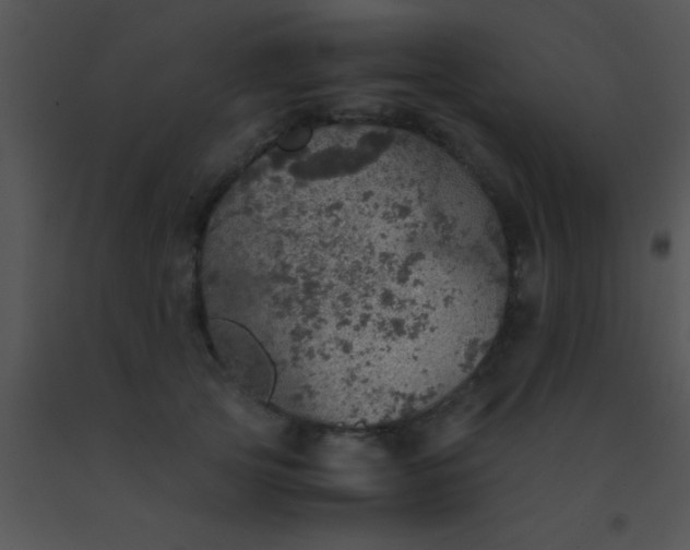 X0000091550753200708311354