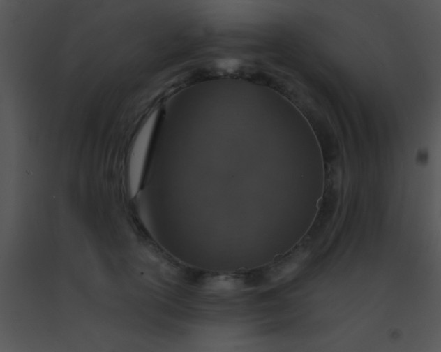 X0000091550754200708311354
