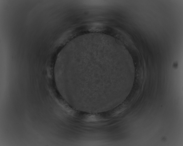 X0000091550755200708311354