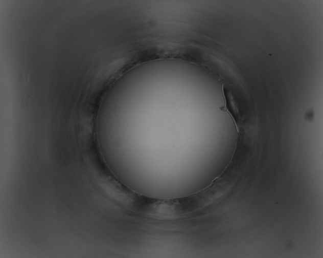 X0000091550756200708311354