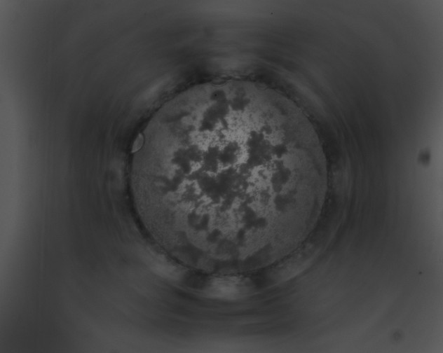 X0000091550757200708311354