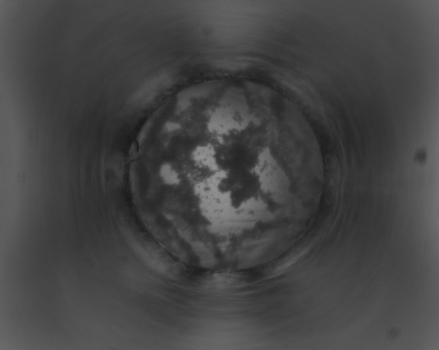 X0000091550758200708311354