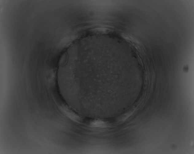 X0000091550759200708311354