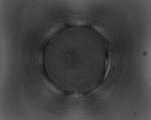 X0000091550760200708311354
