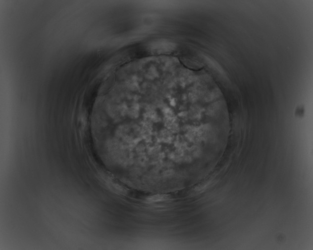 X0000091550761200708311354