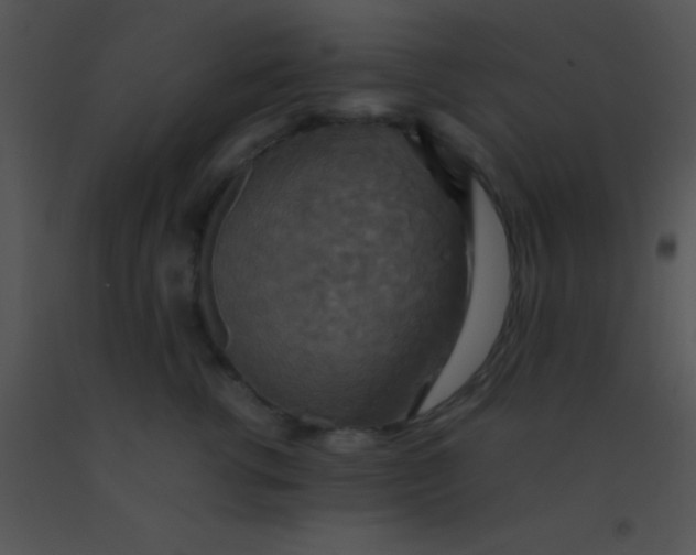 X0000091550762200708311354
