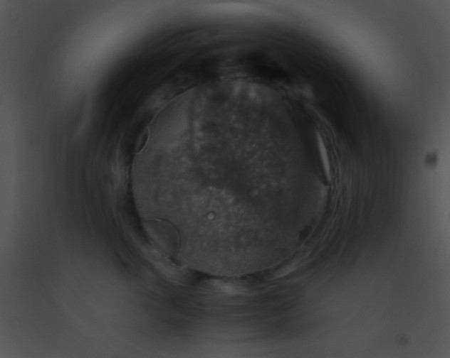 X0000091550763200708311354