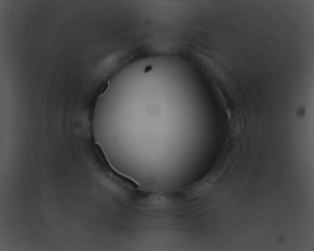 X0000091550764200708311354