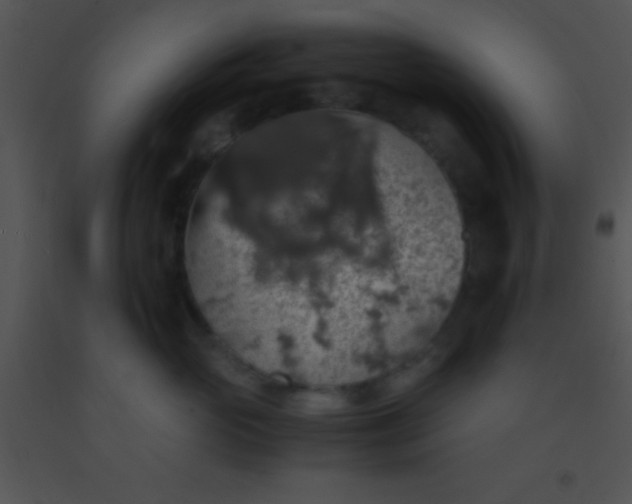 X0000091550765200708311354