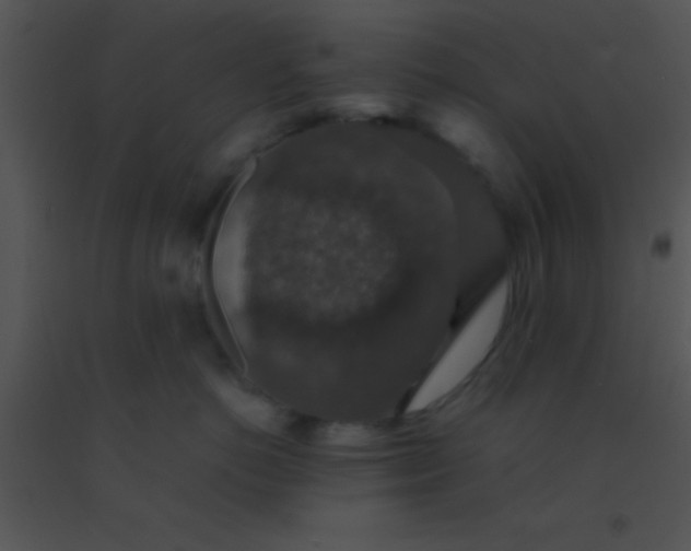 X0000091550766200708311354