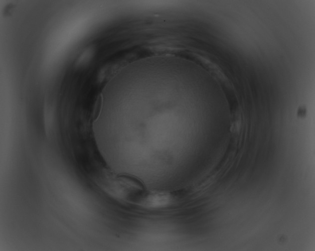 X0000091550767200708311354