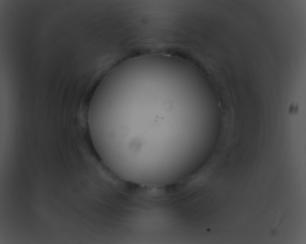 X0000091550768200708311354