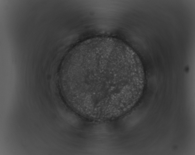 X0000091550769200708311353
